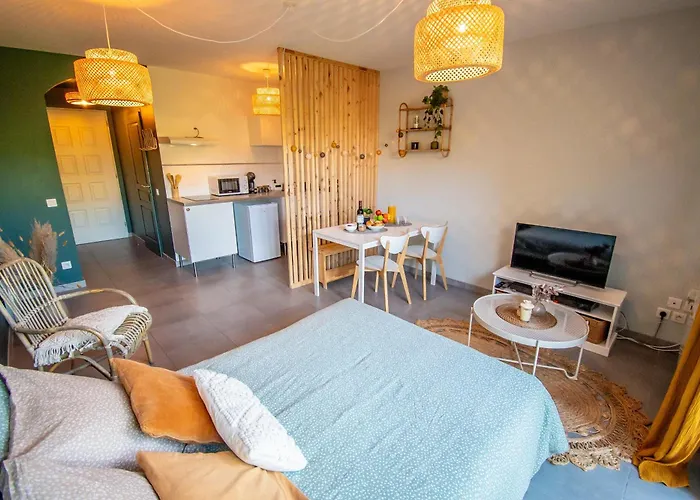 Chez Valerie Et Vincent - La Coulee Douce Montauban